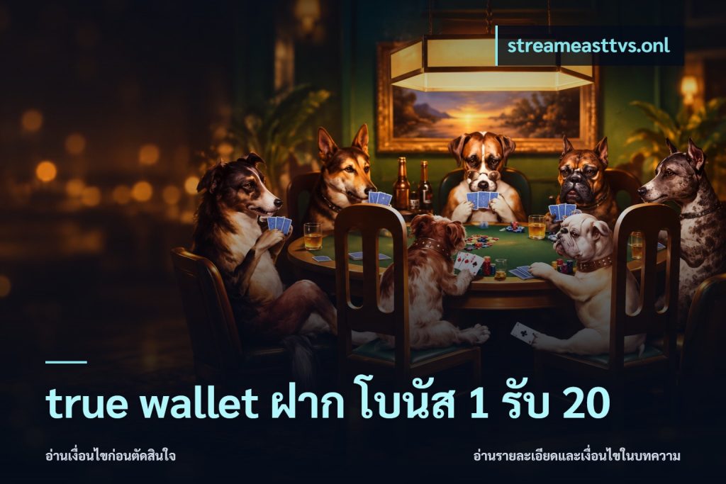 true wallet ฝาก โบนัส 1 รับ 20